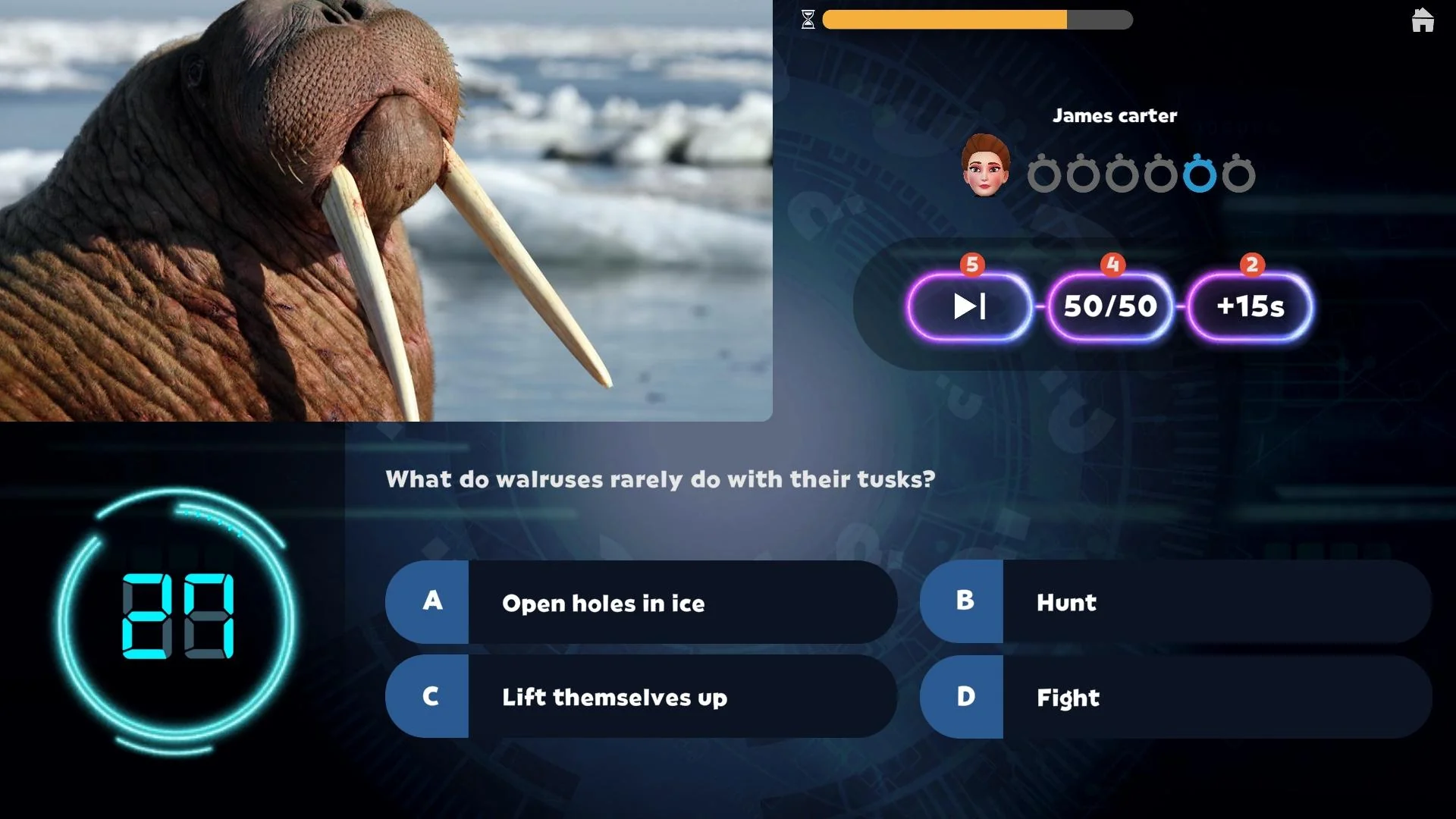 Ocean Life - Image 2