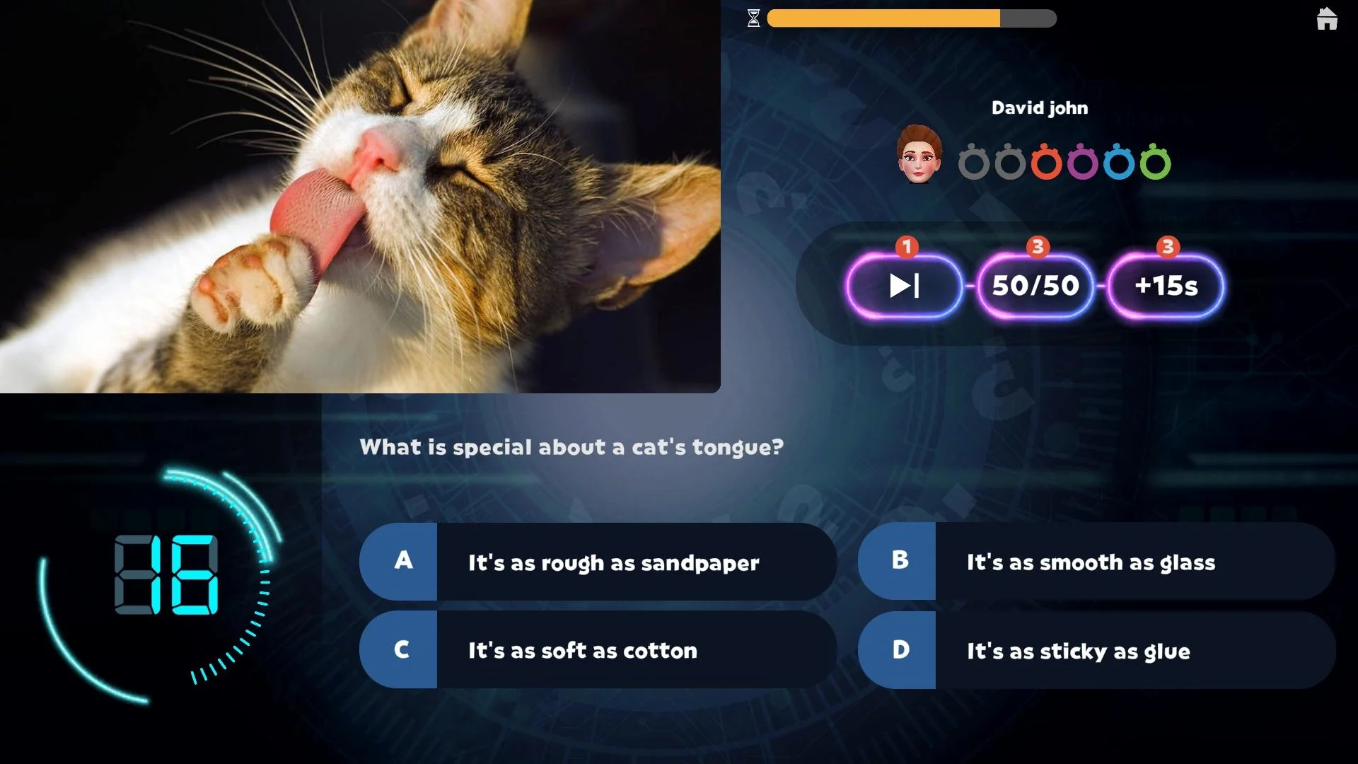 World of Pets - Image 4